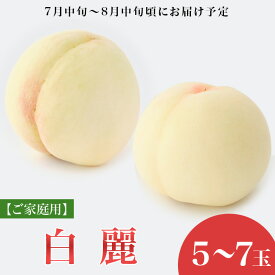 【ふるさと納税】白桃 岡山 桃 もも モモ 岡山の桃 白麗 スイーツ フルーツ 果物 お取り寄せ デザート 旬 ご家庭用 訳あり 【ご家庭用】岡山白桃 白麗 5～7玉【2026年7月中旬頃から順次発送】