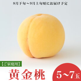 【ふるさと納税】黄桃 岡山 桃 もも モモ 岡山の桃 黄金桃 スイーツ フルーツ 果物 お取り寄せ デザート 旬 ご家庭用 訳あり 【ご家庭用】岡山県産 黄金桃 5～7玉【2026年8月下旬頃から順次発送】