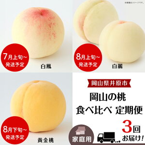 yӂ邳Ɣ[Łz R    R̓ P   ̏ XC[c t[c ʕ  fU[g { Hה 󂠂 R̓ HהגցiN3jy2026NYz