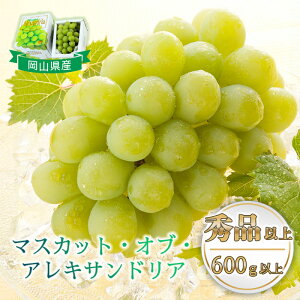 yӂ邳Ɣ[ŁzRY Ԃǂ  uhE }XJbgIuALThA 1[ ʕ XC[c t[c  Mtg p fU[g { }XJbgIuALThA 1[(600g