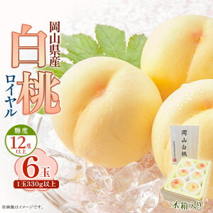 yӂ邳Ɣ[Łz R    R̓ R 6  XC[c t[c ʕ fU[g { Mtg   ؔ RY C6ʁi1330gȏjؔ