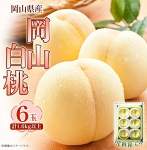 yӂ邳Ɣ[Łz R    R̓ R 6 XC[c t[c ʕ fU[g { Mtg   RY 6(1.6kgȏ) ϔy2026N7{`8{