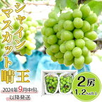 岡山県産 シャインマスカット 晴王 2房 1.2kg以上 先行予約 皮ごと食べられる種なしぶどう 果物 フルーツ 国産 C-31シャインマスカット晴王2房【2024年9月中旬～10月下旬発送予定】（いばら愛菜館）