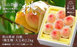 yӂ邳Ɣ[Łz R    R̓ Ӑ  ˓ XC[c t[c ʕ  Mtg p fU[g {  RYuiӐjv2.2kgi6`7