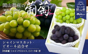 yӂ邳Ɣ[ŁzRY VC}XJbg sI[l l ʕ XC[c t[c  Mtg p fU[g { RYuVC}XJbgEj[sI[lvl 