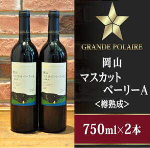 yӂ邳Ɣ[ŁzO|[R}XJbgx[[AMn750ml×2{