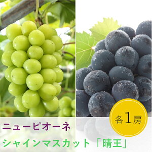 yӂ邳Ɣ[Łz 햳Ԃǂ VC}XJbg  j[sI[l ʕ XC[c t[c  Mtg p fU[g { l j[sI[l1[(480gȏ)EVC