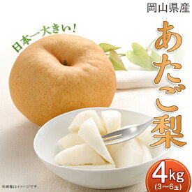 【ふるさと納税】岡山県産 梨 なし あたご梨 愛宕梨 果物 スイーツ フルーツ お取り寄せ ギフト 贈答用 デザート 旬 あたご梨 3～6玉（約4kg）化粧箱入り