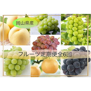 yӂ邳Ɣ[ŁzRY ʕ XC[c t[c  6      Ԃǂ uhE }XJbgEIuEALThA YԂǂ j[sI[l VC}XJb