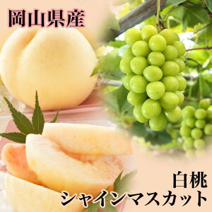 yӂ邳Ɣ[ŁzRY   Ԃǂ  햳 VC}XJbg  ʕ XC[c t[c  Mtg p fU[g { l 2(1220gȏ)EVC}X