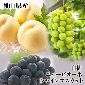 yӂ邳Ɣ[ŁzRY l 2(1220gȏ)Ej[sI[l1[(480gȏ)EVC}XJbguv1[(480gȏ) ϔy2026N7{`8{\z