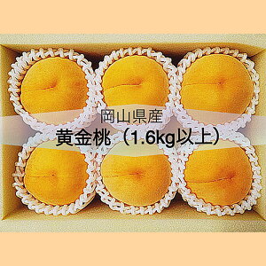 yӂ邳Ɣ[ŁzR    R̓  6 XC[c t[c ʕ fU[g { Mtg   RY 6(1.6kgȏ) ϔy2026N8{`9{