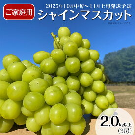 【ふるさと納税】先行予約 シャインマスカット 種無し 3房 2kg以上 家庭用 訳あり 粒不揃い 果物 フルーツ 国産 ブドウ くだもの 岡山県産 【訳あり】シャインマスカット3房（2.0kg以上）【2025年10月中旬～11月上旬発送予定】（星のさと・ぶどう工房）