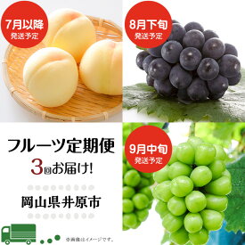 【ふるさと納税】フルーツ 定期便 年3回 2026先行予約 岡山 シャインマスカット 晴王 黒ぶどう 白桃 旬 果物 岡山県産 ブドウ もも くだもの お楽しみ定期便