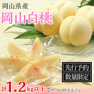 yӂ邳Ɣ[Łz74-03 5`6ʁi1.2kgȏjy2026N7{`8{\z