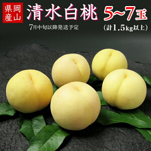 yӂ邳Ɣ[Łzs\ R  { ʕ t[c RY     74-12 5`7ʁiv1.5kgȏjy2026N7{`7{\z
