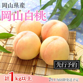 【ふるさと納税】岡山県 岡山白桃 4玉 1kg以上 フルーツ先行予約 果物 桃 冷蔵 74-09 白桃4～5玉（1kg以上）【2026年7月上旬～8月上旬頃発送予定】