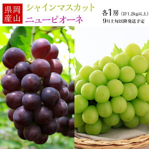 yӂ邳Ɣ[Łzs\ R VC}XJbg Ԃǂ sI[l Ԃǂ { ʕ t[c RY 햳 uhE  74-18 Ԃǂ2[iVC}XJbgEj[sI[ljv1.