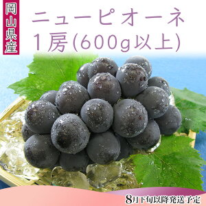 yӂ邳Ɣ[ŁzR j[sI[l 1[ 600gȏ t[cs\ ʕ 햳Ԃǂ ① 74-11 j[sI[l1[i600gȏjy2026N8{`9{\z