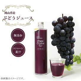 【ふるさと納税】果汁飲料 ぶどう ストレート果汁100% ジュース 国産 無添加 ソフトドリンク 果実飲料 ブドウ 葡萄 くだもの 果物 フルーツ 大人 子供 人気 農薬：栽培期間中不使用 ぶどうジュース（ベリーA）