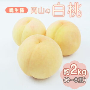 �y�ӂ邳�Ɣ[�Łz�� �Ӑ��� �t���[�c 2026 ��s�\�� ���R ���� �{ �ʕ� ���R�̔��� �Ӑ��� ��2kg�i6�`8�ʁj