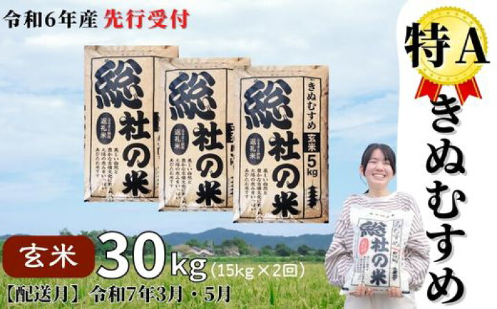 楽天市場】【ふるさと納税】米 定期便 先行予約 特A きぬむすめ 令和6  