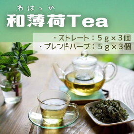 【ふるさと納税】和薄荷Tea　薄荷　ティーバッグ　お茶