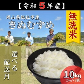 【ふるさと納税】米 無洗米 令和5年産 きぬむすめ 特A 10kg 5kg×2袋 選べる 配送月 総社 そうじゃ