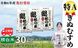 【ふるさと納税】米 定期便 先行予約 特A きぬむすめ 令和6年産 白米 30kg （15kg×2回）選べる 配送月 岡山県産 総社産米【R7年4月・6月配送】