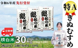 【ふるさと納税】米 定期便 先行予約 特A きぬむすめ 令和6年産 白米 30kg （15kg×2回）選べる 配送月 岡山県産 総社産米【R7年8月・10月配送】