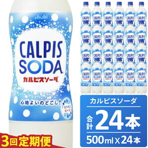 yӂ邳Ɣ[ŁzJsX JsX\[_  3 3z 500ML 24{ ATq _  Ni Ўs