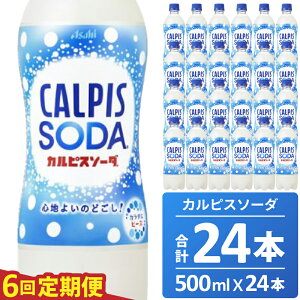 yӂ邳Ɣ[ŁzJsX JsX\[_  6 6z 500ML 24{ ATq _  Ni Ўs