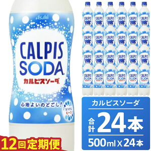 yӂ邳Ɣ[ŁzJsX JsX\[_  12 12z 500ML 24{ ATq _  Ni Ўs