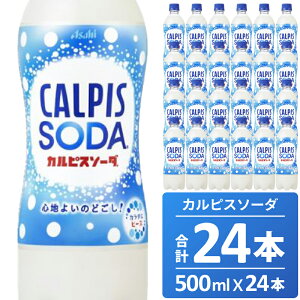 yӂ邳Ɣ[ŁzJsX JsX\[_ 500ML 24{ ATq _  Ni Ўs