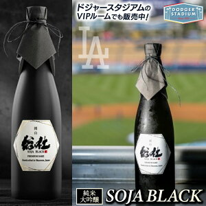yӂ邳Ɣ[Łz đ  SOJA BLACK Y R 