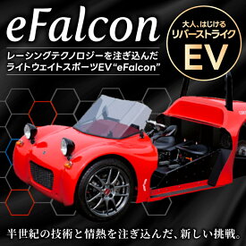 【ふるさと納税】ライトウェイトスポーツEV eFalcon イーファルコン 側車付（軽）二輪自動車 電気自動車 岡山 総社 999-006