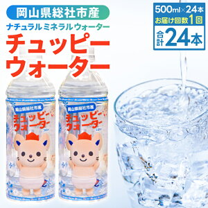 yӂ邳Ɣ[Łz`bs[EH[^[24{×1P[X  ~lEH[^[ 500ml 24{ 1P[X 013-016