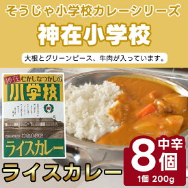 【ふるさと納税】そうじゃ小学校ライスカレー（神在小学校版×8個）　カレー　レトルト　レトロ