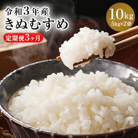 楽天市場 ふるさと納税 米 定期便 10kgの通販