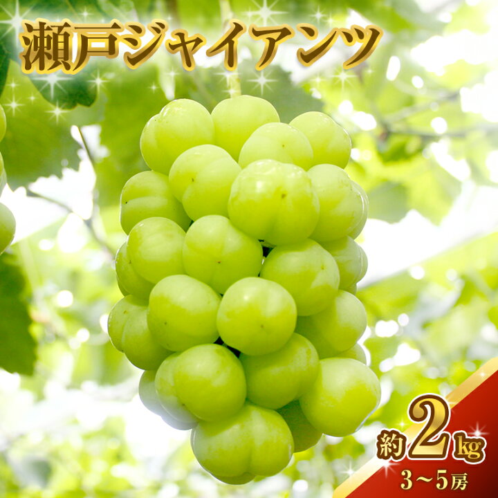 楽天市場】【ふるさと納税】瀬戸ジャイアンツ 約2kg 3～5房 ぶどう 