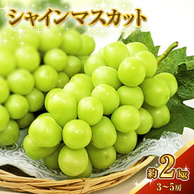 【ふるさと納税】シャインマスカット 約2kg 3～5房 ぶどう 葡萄 フルーツ 岡山 高梁市産 2026年 先行予約 果物類 果物 　お届け：2026年9月下旬～2026年10月下旬