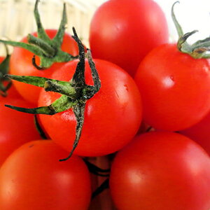 yӂ邳Ɣ[Łz 2026N s\ ~j g}g 150g 10pbN Ƃ܂ R sY L@ ؁@͂F2026N7{`2026N9{܂