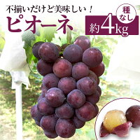 【岡山県高梁市】