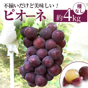 yӂ邳Ɣ[Łz󂠂 ҕ  j[ sI[l ƒp tl 4kg RY Ԃǂ  ʕ t[c 2026N s\ ʕ @͂F2026N9{`2026N10{