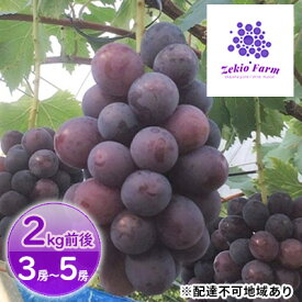 【ふるさと納税】ニュー ピオーネ 2kg前後 3房～5房 葡萄 フルーツ 岡山 高梁市産 ぜきお農園 ぶどうclub 2026年 先行予約 果物 　お届け：2026年9月上旬～2026年9月下旬