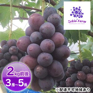 yӂ邳Ɣ[Łzj[ sI[l 2kgO 3[`5[  t[c R sY _ Ԃǂclub 2026N s\ ʕ @͂F2026N9{`2026N9{