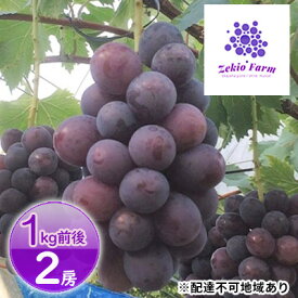 【ふるさと納税】ニュー ピオーネ 1kg前後 2房 葡萄 フルーツ 岡山 高梁市産 ぜきお農園 ぶどうclub 2026年 先行予約 果物 　お届け：2026年9月上旬～2026年9月下旬