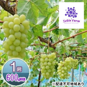 yӂ邳Ɣ[ŁzVC}XJbg 1[ 600gO  t[c R sY _ Ԃǂclub 2025N s\ ʕ uhE ʕ @͂F2025N9{`2025N10{