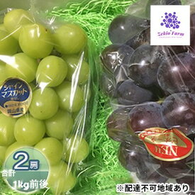 【ふるさと納税】ぶどう食比べセット 2房 合計1kg前後 葡萄 フルーツ 岡山 高梁市産 ぜきお農園 ぶどうclub 2026年 先行予約 果物類 マスカット 果物 　お届け：2026年9月中旬～2026年10月中旬