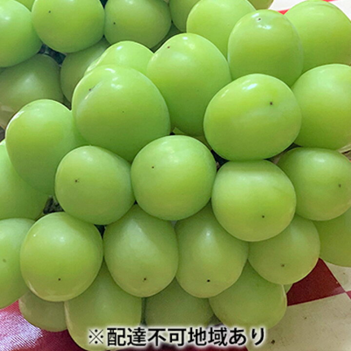 楽天市場 ふるさと納税 ぶどう 23年先行予約 こあに葡萄園 シャインマスカット 3房 合計1 7kg以上 岡山県 高梁市産 配達不可 離島 果物類 ぶどう ブドウ マスカット フルーツ シャインマスカット お届け 23年10月上旬 23年10月下旬